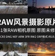 大象传媒视频官网-探索大象传媒视频官网，数字时代的文化传播新阵地