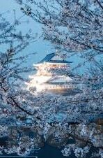 久久免费精品一区二区-探索网络世界的多元乐趣 —— 久久免费精品一区二区