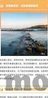 麻豆一级av高清在线-