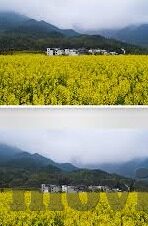糖心vlog入口-甜蜜的探索，尝试寻找糖心Vlog的旅程