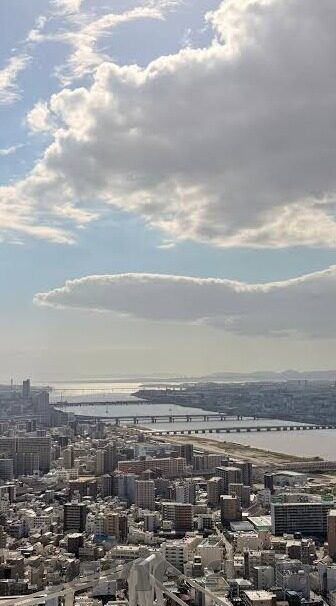 糖心直播app大全-糖心直播，精彩纷呈的娱乐新潮流