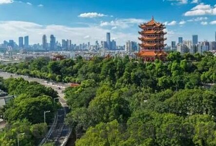 最近中文字幕大全中文字幕免费-探索中文影视资源的新天地，最近中文字幕大全与中文字幕免费